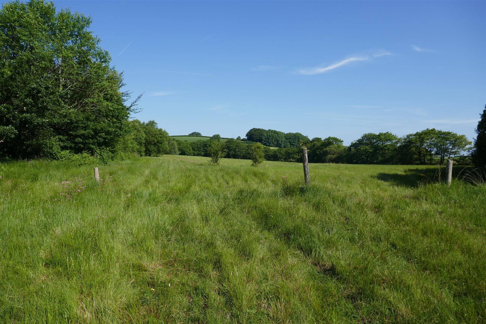 LAND